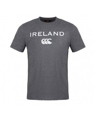 T-Shirt Irlande Gris 2021/2022